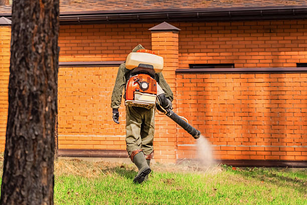 Bed Bug Clearance Verification and Documentation in Glenwood